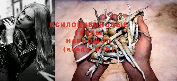 дмт Алексеевка
