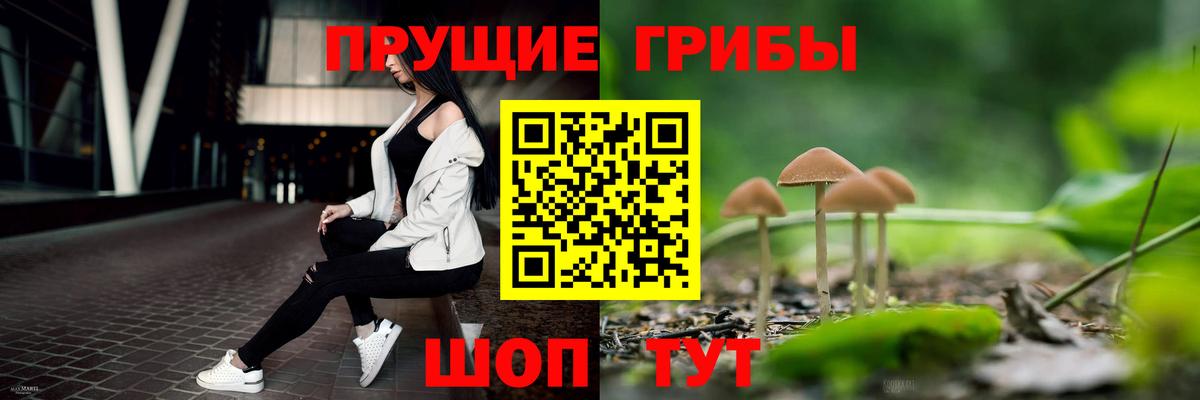 Старая Купавна  Галлюциногенные грибы GOLDEN TEACHER  Вход с VPN 